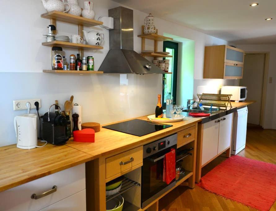 Green Haven Roofgarden Penthouse In Central Area 维也纳 外观 照片